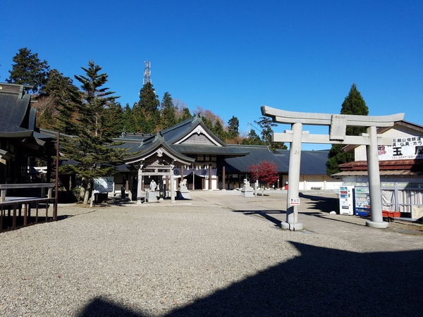 20191105_093623.jpg