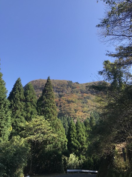 鷹巣1.jpg